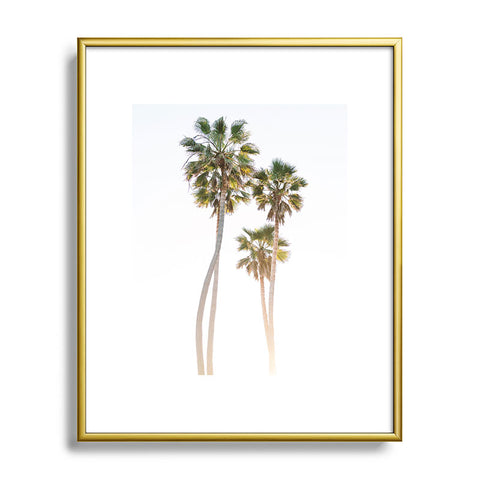 Bethany Young Photography California Palms Metal Framed Art Print