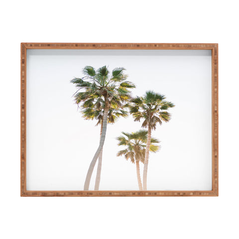 Bethany Young Photography California Palms Rectangular Tray
