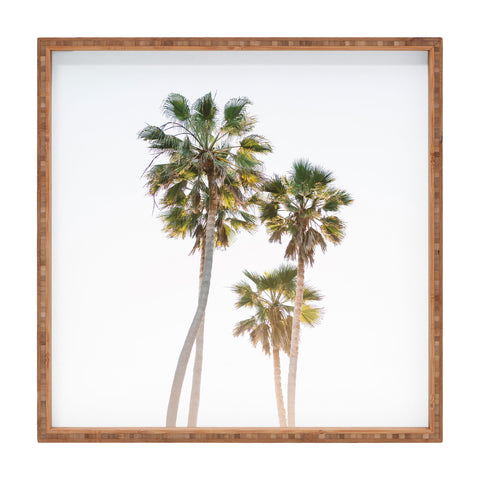 Bethany Young Photography California Palms Square Tray