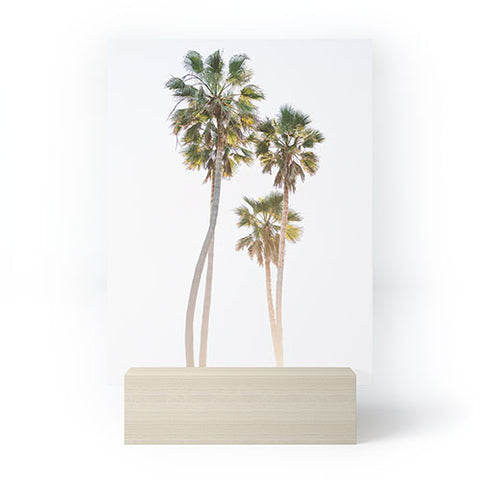 Bethany Young Photography California Palms Mini Art Print