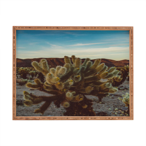Bethany Young Photography Cholla Cactus Garden X Rectangular Tray