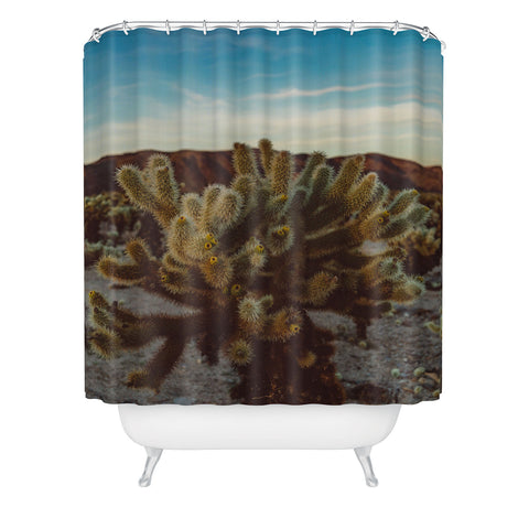 Bethany Young Photography Cholla Cactus Garden X Shower Curtain