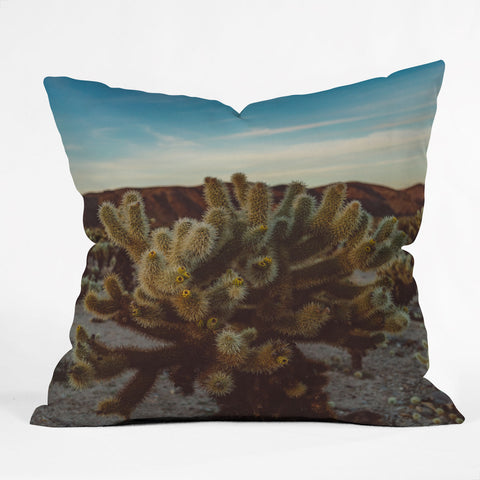 Bethany Young Photography Cholla Cactus Garden X Outdoor Throw Pillow