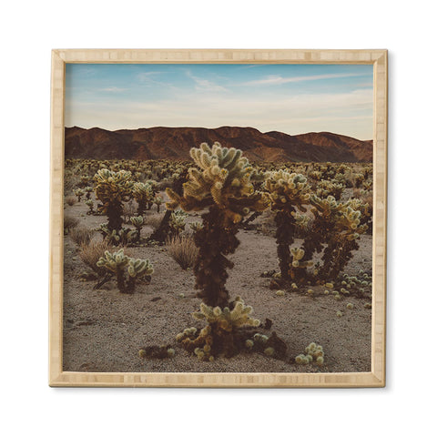 Bethany Young Photography Cholla Cactus Garden XII Framed Wall Art