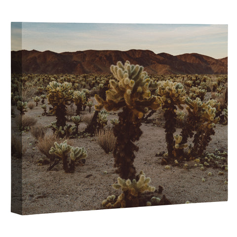 Bethany Young Photography Cholla Cactus Garden XII Art Canvas