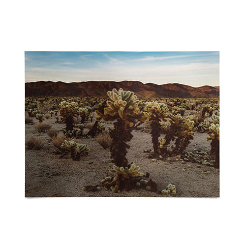 Bethany Young Photography Cholla Cactus Garden XII Poster