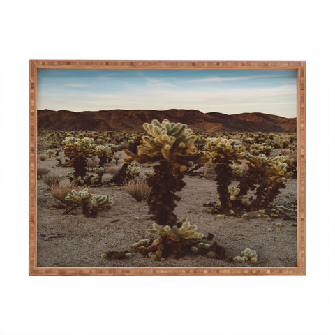 Bethany Young Photography Cholla Cactus Garden XII Rectangular Tray
