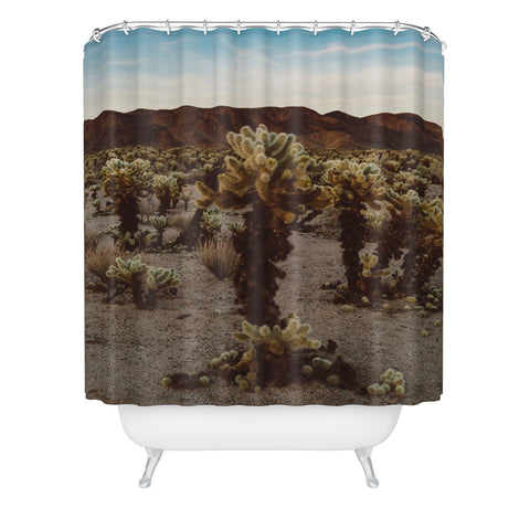 Bethany Young Photography Cholla Cactus Garden XII Shower Curtain