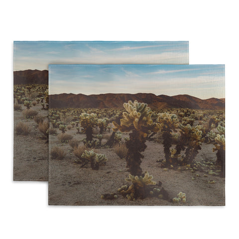 Bethany Young Photography Cholla Cactus Garden XII Placemat
