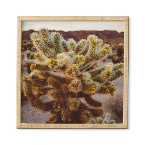 Bethany Young Photography Cholla Cactus Garden XIV Framed Wall Art