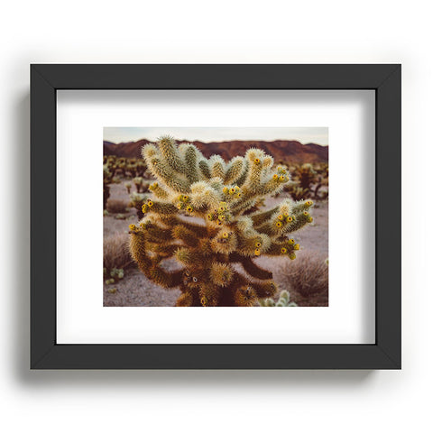 Bethany Young Photography Cholla Cactus Garden XIV Recessed Framing Rectangle