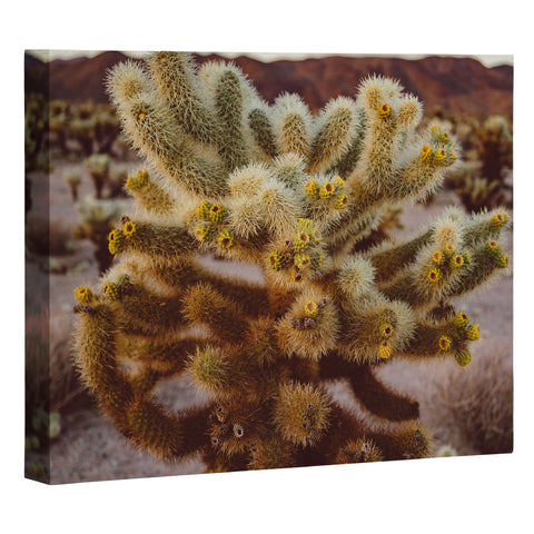 Bethany Young Photography Cholla Cactus Garden XIV Art Canvas