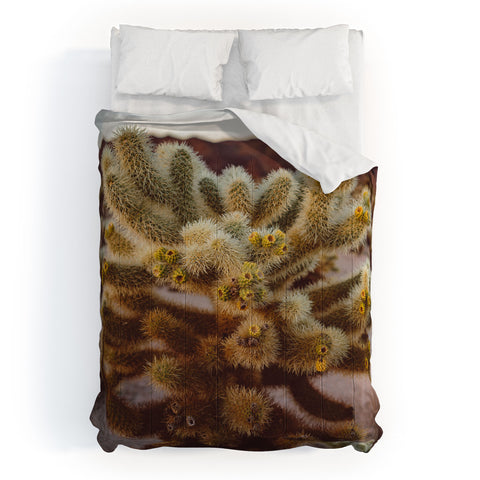 Bethany Young Photography Cholla Cactus Garden XIV Comforter