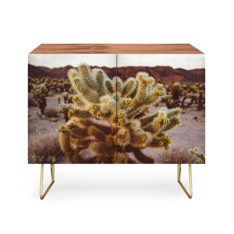 Bethany Young Photography Cholla Cactus Garden XIV Credenza
