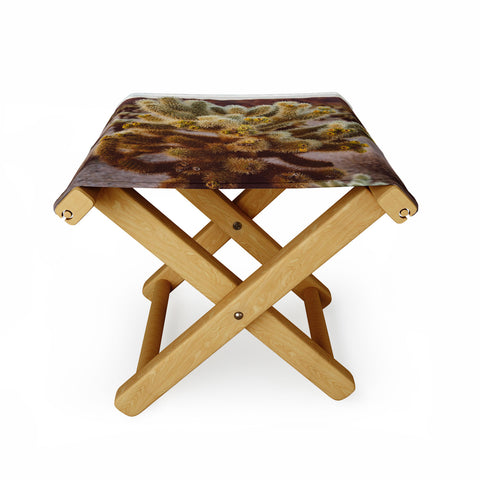 Bethany Young Photography Cholla Cactus Garden XIV Folding Stool
