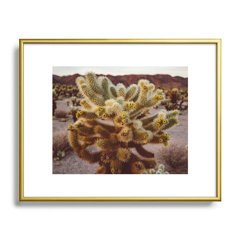 Bethany Young Photography Cholla Cactus Garden XIV Metal Framed Art Print