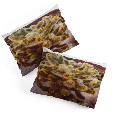 Bethany Young Photography Cholla Cactus Garden XIV Pillow Shams
