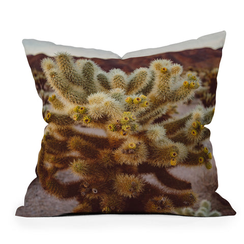 Bethany Young Photography Cholla Cactus Garden XIV Throw Pillow