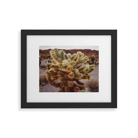 Bethany Young Photography Cholla Cactus Garden XIV Framed Art Print
