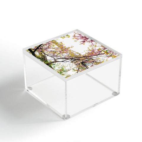Bethany Young Photography Eiffel Tower IX Acrylic Box