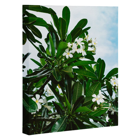 Bethany Young Photography Hawaiian Blooms Art Canvas
