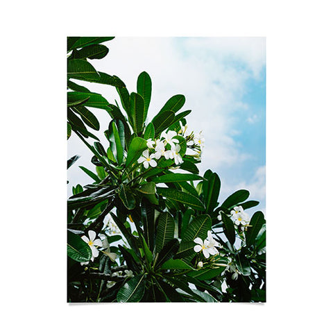 Bethany Young Photography Hawaiian Blooms Poster