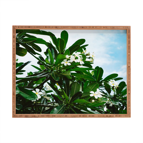 Bethany Young Photography Hawaiian Blooms Rectangular Tray
