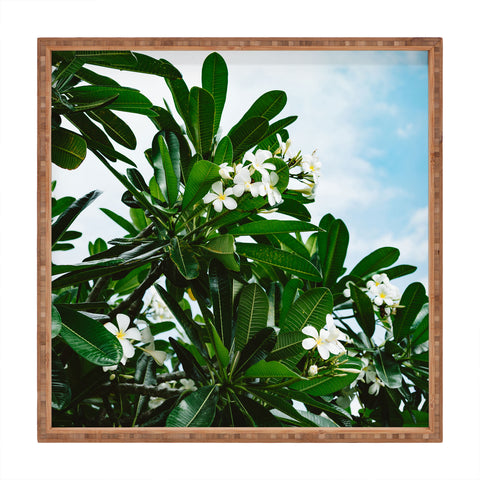 Bethany Young Photography Hawaiian Blooms Square Tray