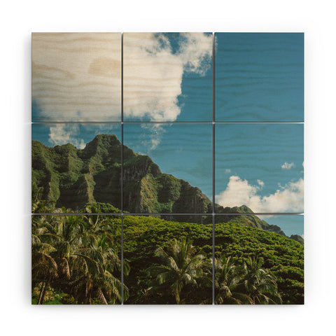 Bethany Young Photography Hawaiian Mountain III Wood Wall Mural