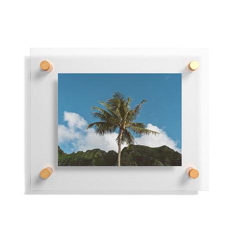 Bethany Young Photography Hawaiian Palm Floating Acrylic Print