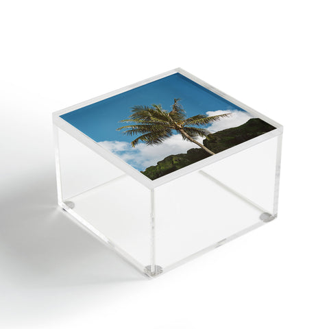 Bethany Young Photography Hawaiian Palm Acrylic Box