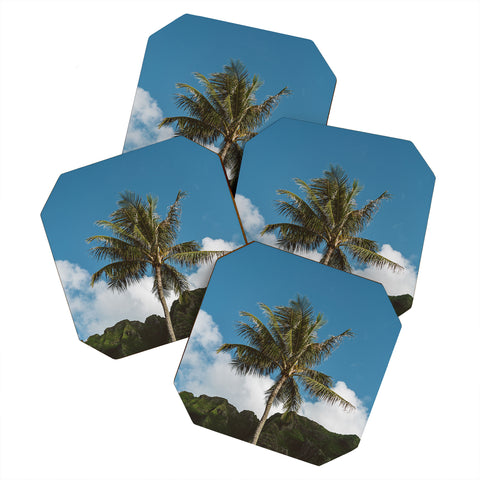 Bethany Young Photography Hawaiian Palm Coaster Set
