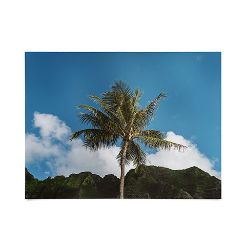 Bethany Young Photography Hawaiian Palm Poster