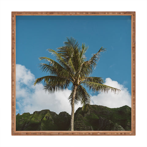 Bethany Young Photography Hawaiian Palm Square Tray