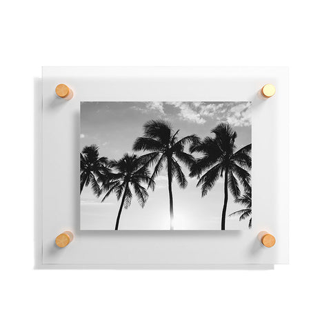 Bethany Young Photography Hawaiian Palms II Floating Acrylic Print