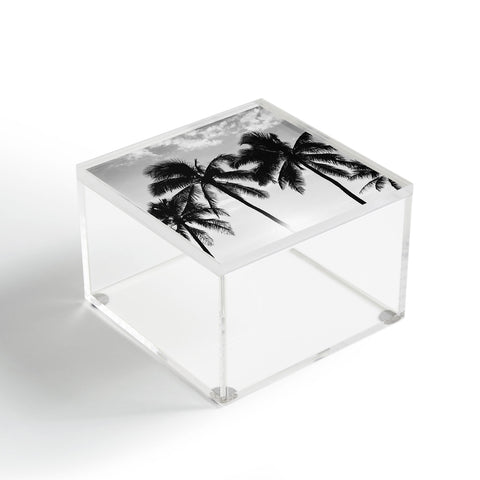 Bethany Young Photography Hawaiian Palms II Acrylic Box