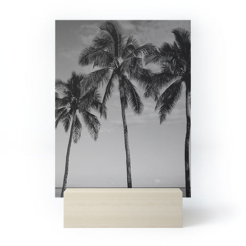 Bethany Young Photography Hawaiian Palms IV Mini Art Print