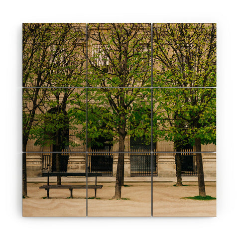 Bethany Young Photography Jardin du Palais Royal III Wood Wall Mural