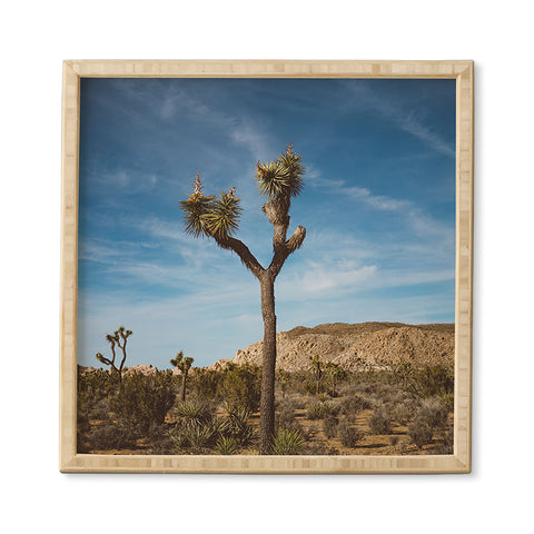 Bethany Young Photography Joshua Tree VI Framed Wall Art