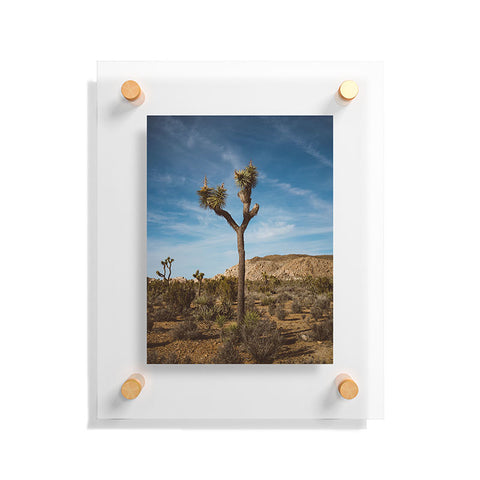 Bethany Young Photography Joshua Tree VI Floating Acrylic Print