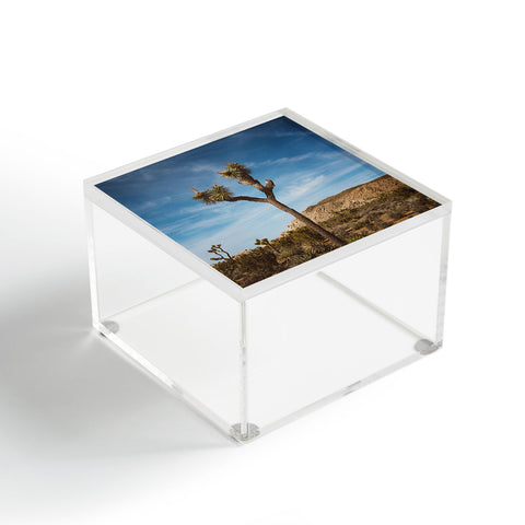 Bethany Young Photography Joshua Tree VI Acrylic Box