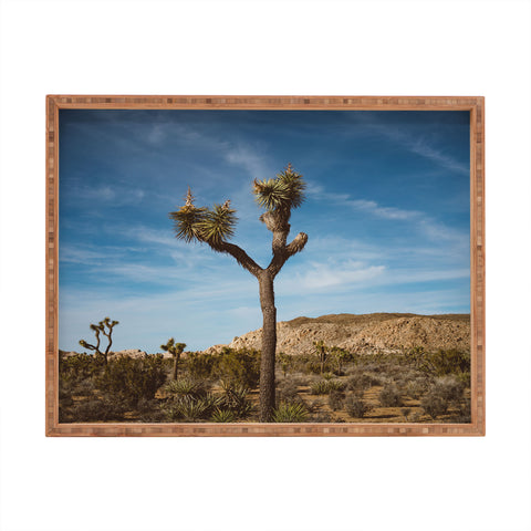 Bethany Young Photography Joshua Tree VI Rectangular Tray
