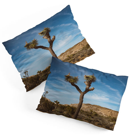 Bethany Young Photography Joshua Tree VI Pillow Shams