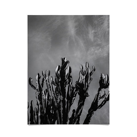 Bethany Young Photography Monochrome Cactus Sky Poster