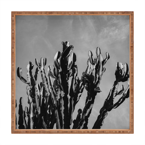 Bethany Young Photography Monochrome Cactus Sky Square Tray