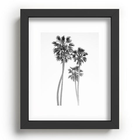 Bethany Young Photography Monochrome California Palms Recessed Framing Rectangle