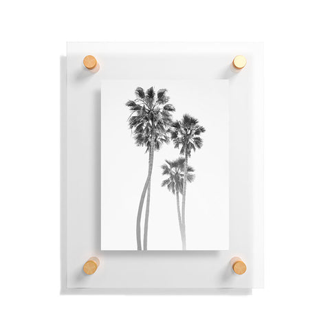 Bethany Young Photography Monochrome California Palms Floating Acrylic Print