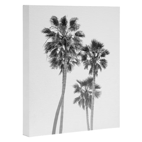 Bethany Young Photography Monochrome California Palms Art Canvas