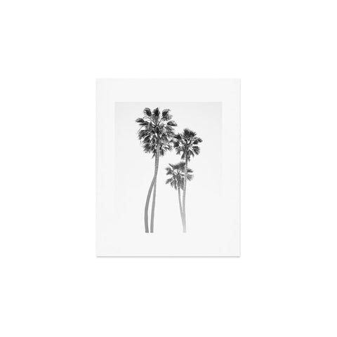 Bethany Young Photography Monochrome California Palms Art Print