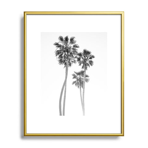 Bethany Young Photography Monochrome California Palms Metal Framed Art Print